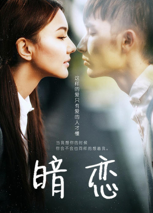 硕士学历证书查询